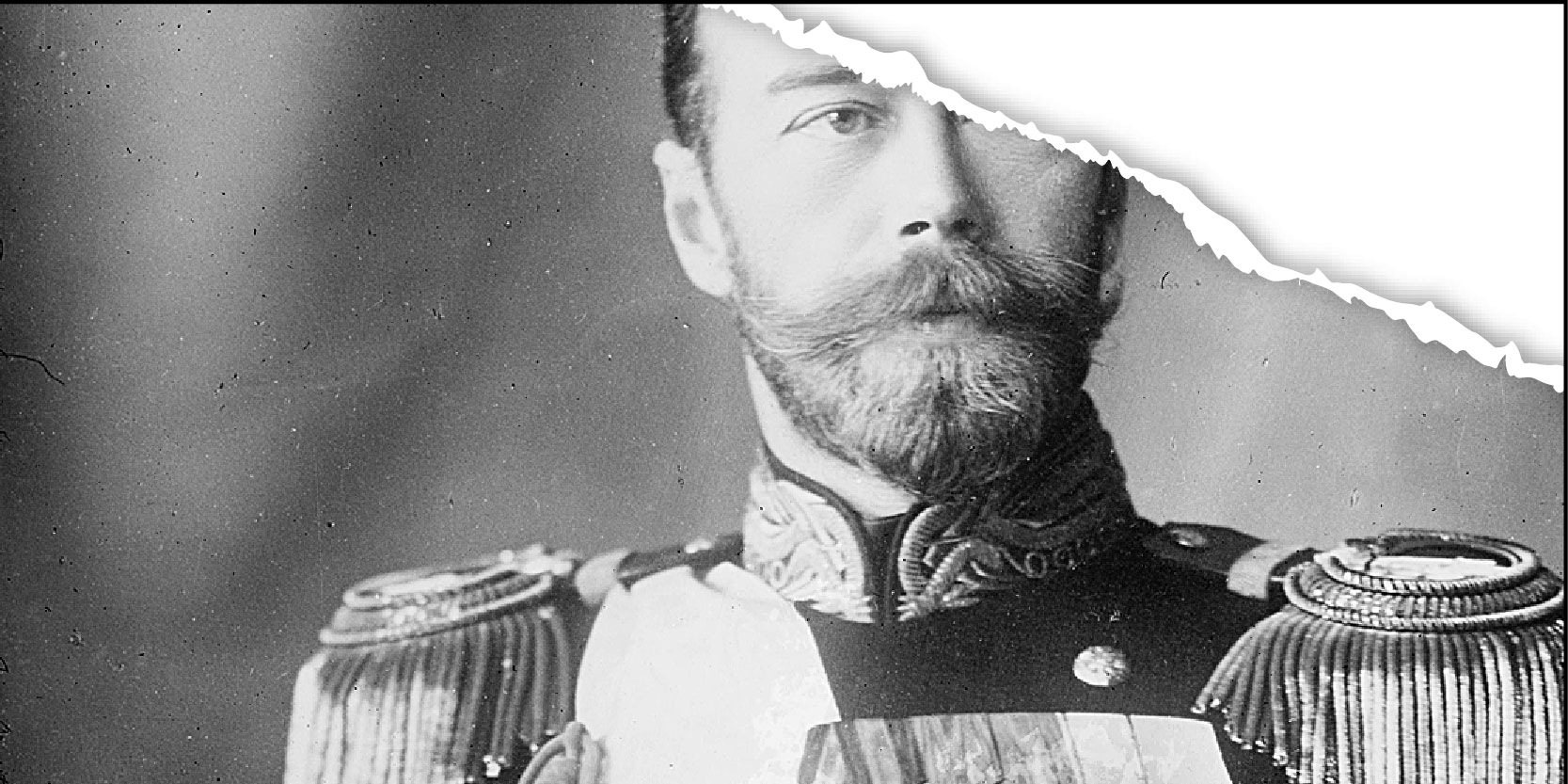 Нежинская нежность
